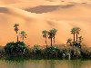 Самые большие пустыни мира. Аравийская пустыня. 2 330 000 км?