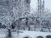 Детский сад зимой. Природа Кировограда - Любовь Ложникова