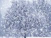 Снег — форма атмосферных осадков, состоящая из мелких кристаллов льда.