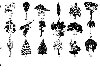 Черно-белые деревья разных пород в векторном формате eps.