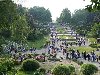 Национальный ботанический сад им. Н. Н. Гришко в Киеве является частью ...