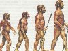 ... человека выделяют три основных этапа: 1) древнейшие люди (архантропы), ...