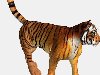 Объемный тигр 3Д