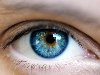 Ученые, изучающие генетику цвета глаз, обнаружили, что у более чем 99,5% ...
