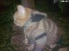 вязаная одежда для котов и собак маленьких пород в Полтаве - изображение 3