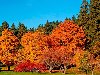 Обои картинки фото осень, деревья, парк, лавка, солнце на рабочий стол ...