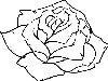 Раскраска Бутон розы - картинка высокого качества, которую можно скачать или ...