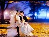 Самые красивые свадебные фотографии. Бесплатный курс u0026quot;Секреты свадебного ...