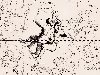 Созвездие Близнецы из Атласа u0026quot;Uranographiau0026quot; J. E. Bode (Берлин 1801)