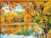 Осенний листопад анимация - Картинки Осень
