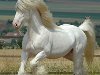 Белая лошадь - это не только сорт виски, но и сказочный персонаж.