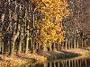 Красивый осенний парк 1920х1080 - Обои осень — осенние мотивы — Обои для ...