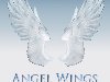 Angel Wings -   (      PNG)