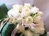 Розы,белые розы.... Обсуждение на LiveInternet - Российский Сервис Онлайн- ...