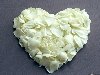 Сердце из белых роз 1600x1280