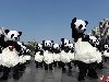 Волонтеры в костюмах панд танцуют u0026quot;Gangnam Styleu0026quot; в Чэнду