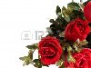 букет из красных роз на белом фоне Фото со стока - 13138100