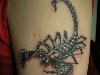 Татуировка скорпион — значение