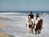 Берег моря, мягко набегающие волны, двое красивых лошадей, двое влюбленных ...