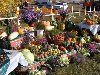 Уртун тойы - праздник урожая в Хакасии