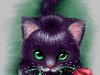 нарисованные кошки - Самое интересное в блогах