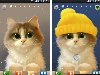 Tummy The Kitten - живые обои с котёнком от apofiss для Android