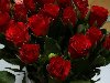 Букет красных роз фото