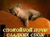 Спокойной ночи, сладких снов))))))))))))