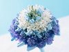 Букет из белых и голубых цветов украшенный голубой лентой