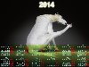 Забавная Лошадь — Календарь 2014 год (скачать в формате .psd)