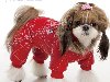 IsPet CLARICEu0026#39;S GLAMOUR WINTER комбинезон - одежда для собак