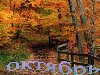 Октябрь. - Слайд 3 - Природа осень - Осень - Презентации по окружающему миру