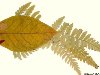 Рыбка из осенних листьев