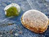 Морские камни обои, фото Галька, красивые обточенные камни с берега моря ...