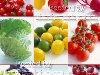 Клипарт – Свежие Фрукты и Овощи яркие и аппетитные / Красивые фото овощей и ...