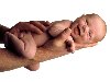 Новорождённый на мужской руке, дети 1024х768. Ключевые слова (тэги): дети