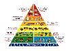 Пирамида здорового питания это руководство по тому, сколько продуктов ...