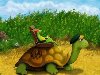 Прикольные черепахи - Детские. « Назад Вперед »