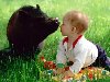 Животные и дети - вот наверное две большие радости, которые приносят в нашу ...