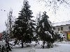 В Ханженково не только летом, но и зимой можно найти сюжеты для фотографий.
