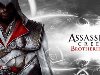 Assassins Creed: Братство крови. Assassins Creed: Братство крови