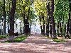 Обои для рабочего стола: Калужский городской парк Осень в парке