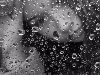 И только дождь, холодные капли дождя видят мои слезы, знают мою боль, ...