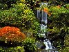 Картинка, Японський сад, Портленд, Орегон - обої на робочий стіл природа, ...
