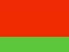 флаг государства Белоруссия 2 полосы зеленого и красного чветов