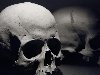 скелет, тьма, человек, Череп, черно-белое. Просмотров: 1521. Скачали: 197