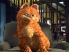 Видео с толстым рыжим котом, который очень похож на мультяшного Гарфилда, ...