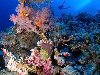 Морские глубины и их обитатели