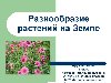 Разнообразие растений на Земле. Окружающий мир 3 класс Хромова Татьяна ...