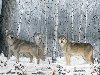 Волк в мифологии, тотем волка. Обсуждение на LiveInternet - Российский ...